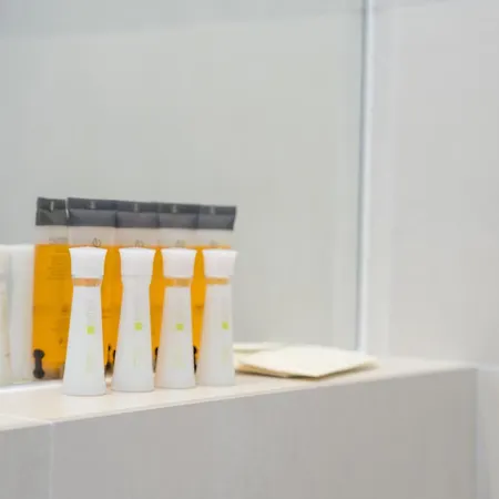 Promenada Puzi Place * 布加勒斯特